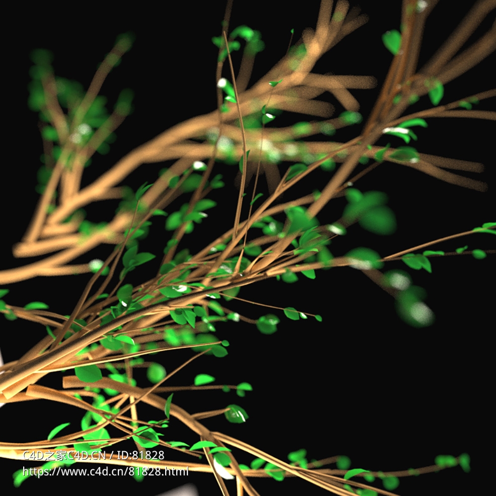 树木分支生长particlefx branch growth r16-r23 x-particles cycles4d - C4D之家 - 091.jpg