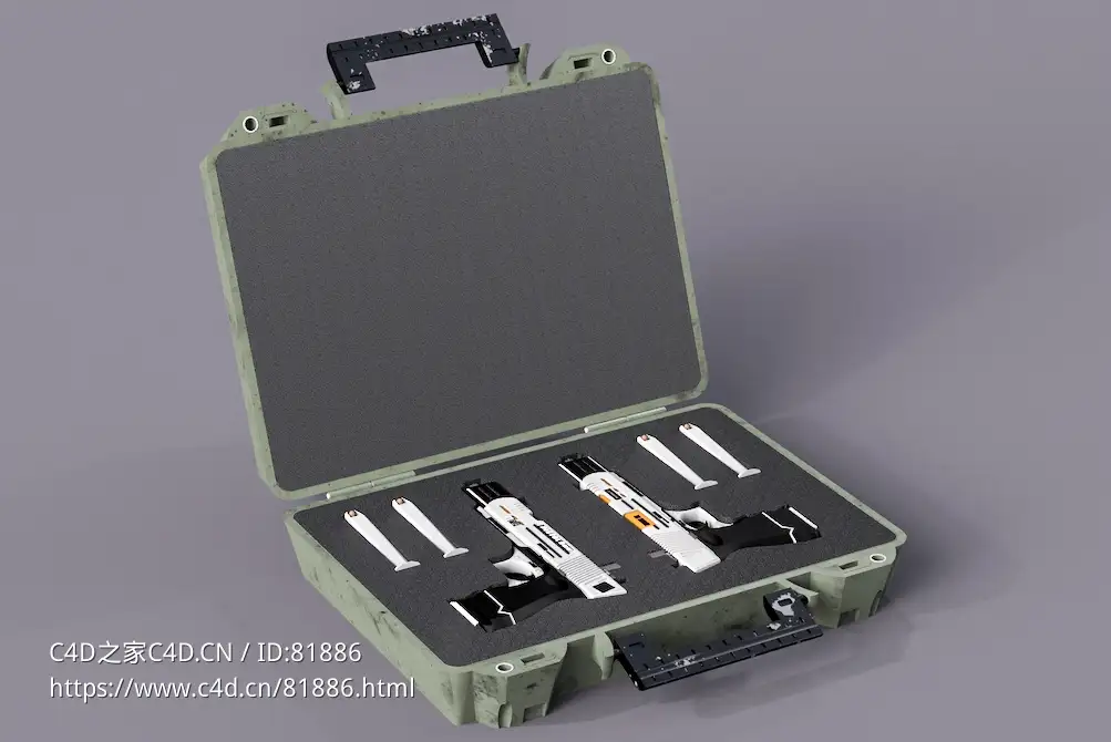 手枪武器箱NZ PT-9M Case