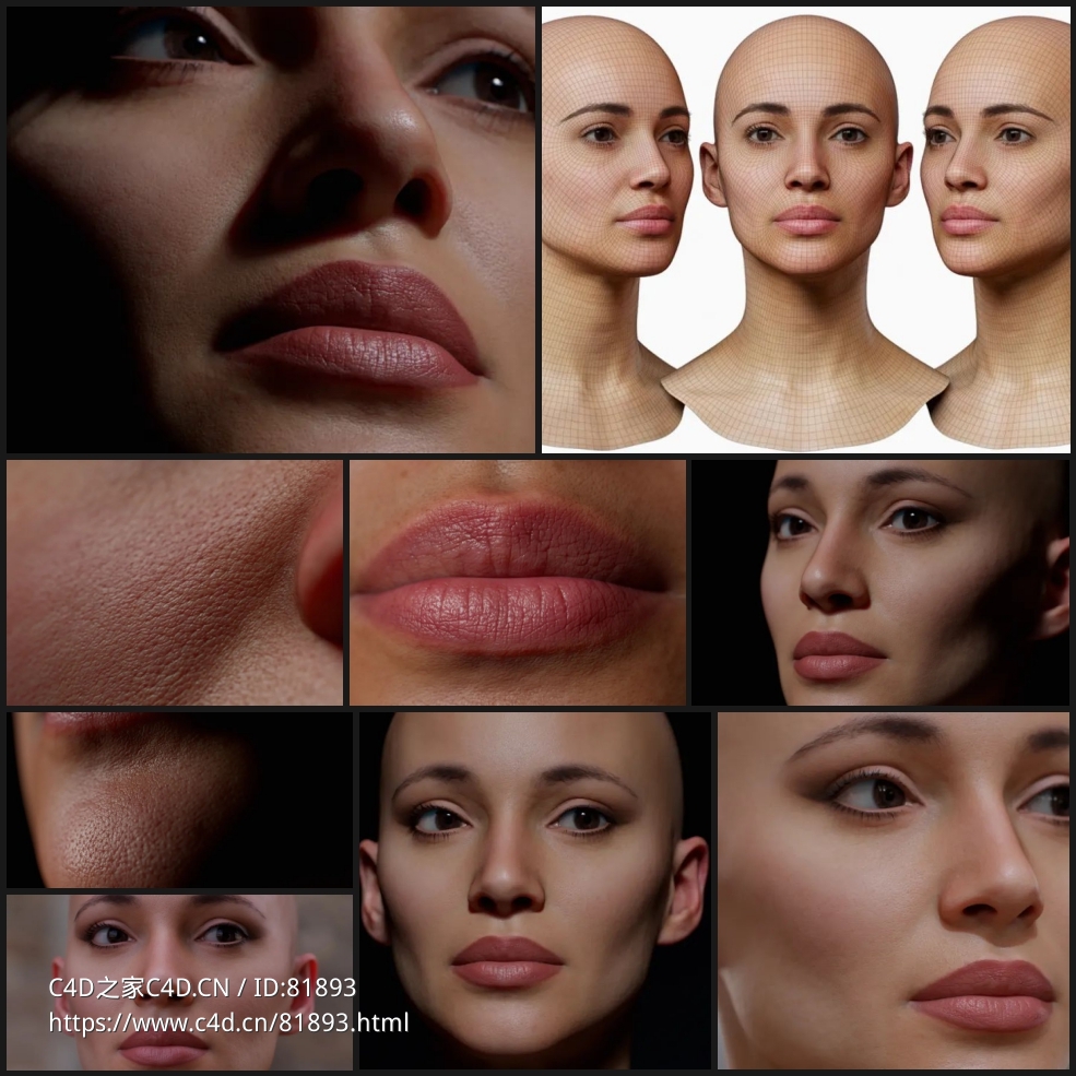 高精度写实女性头像模型woman - C4D之家 - 未命名.jpg