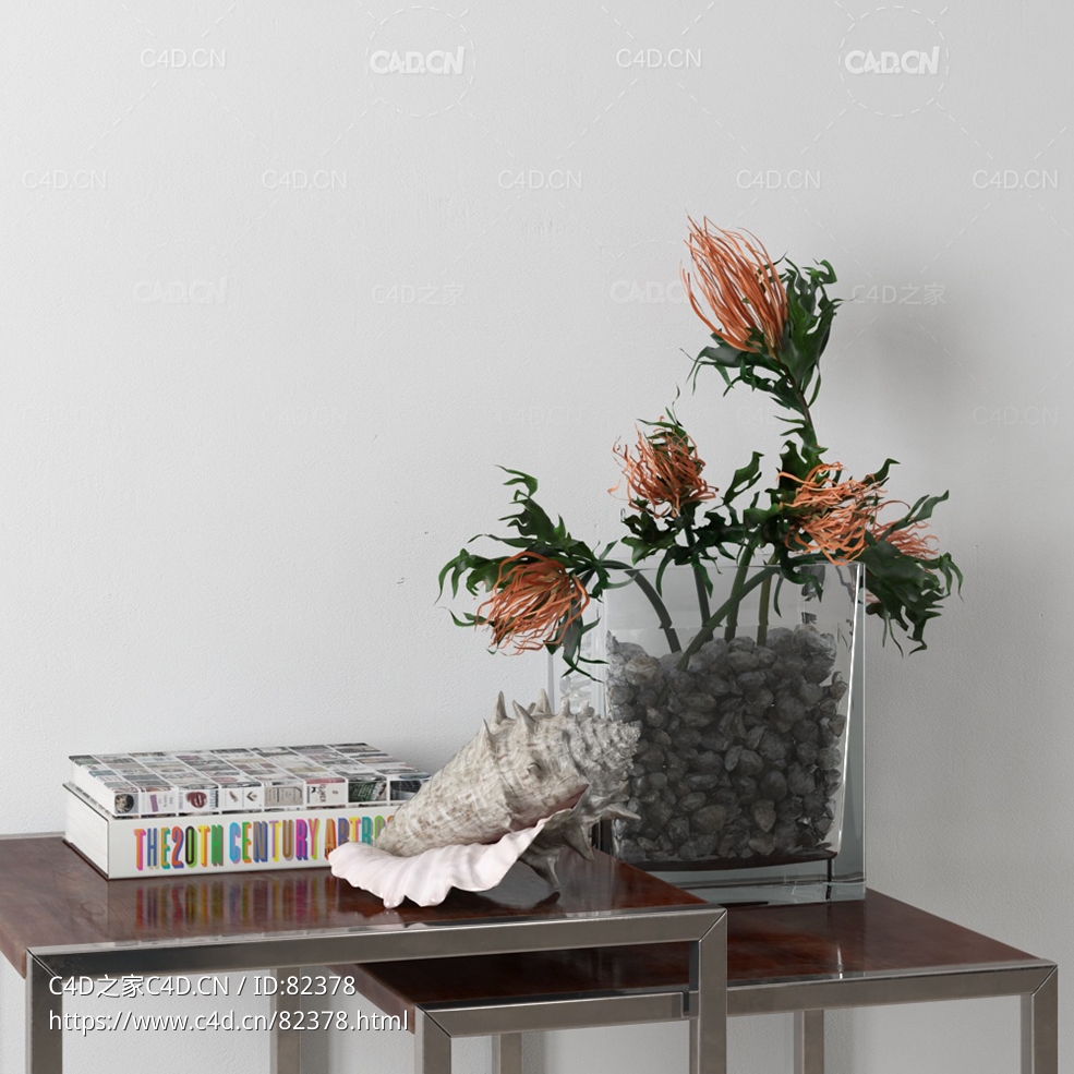 摆件装饰品c4d海螺花卉书本模型下载 - C4D之家 - 003.jpg