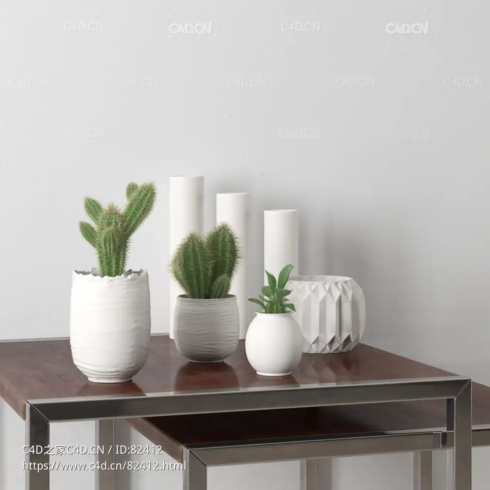 摆件装饰品c4d仙人掌绿植艺术花盆模型下载 - C4D之家 - 023.jpg