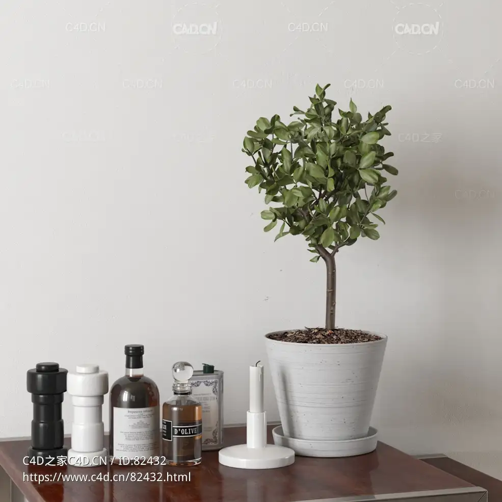 摆件装饰品c4d绿植盆栽哑铃瓶子蜡烛模型下载