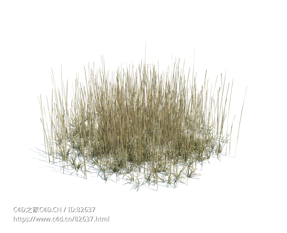 秋冬季干枯草地植物杂草模型下载simple grass large v3 - C4D之家 - 141.jpg