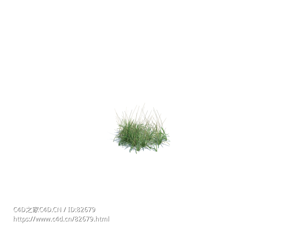 小野草植物杂草模型下载simple grass small v1aaa - C4D之家 - 133.jpg