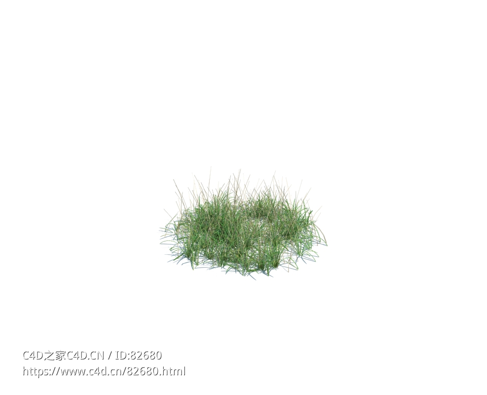 绿草地simple grass medium v2 - C4D之家 - 134.jpg