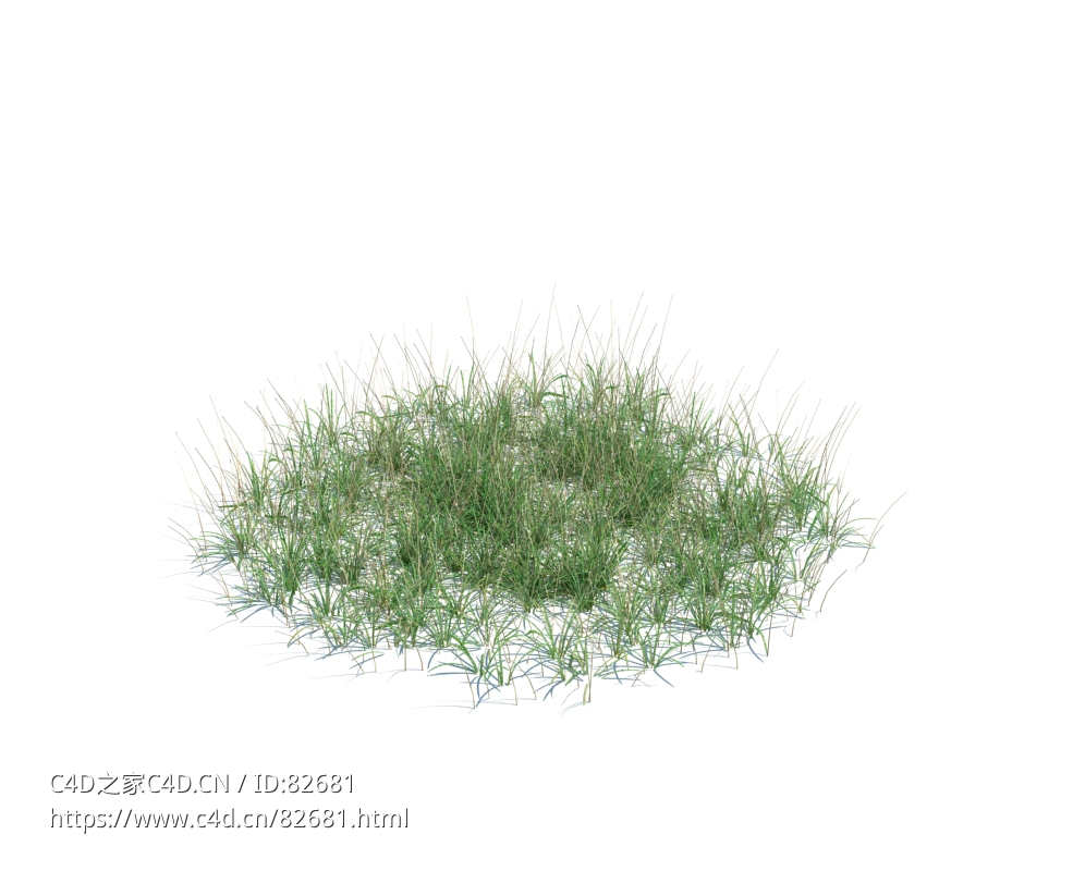 绿色草地野草simple grass large v3 - C4D之家 - 135.jpg