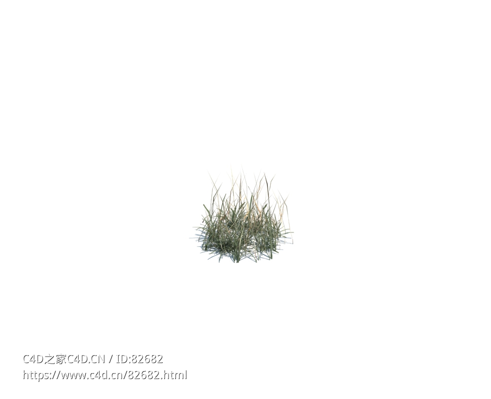 一撮小野草simple grass small v1 - C4D之家 - 136.jpg