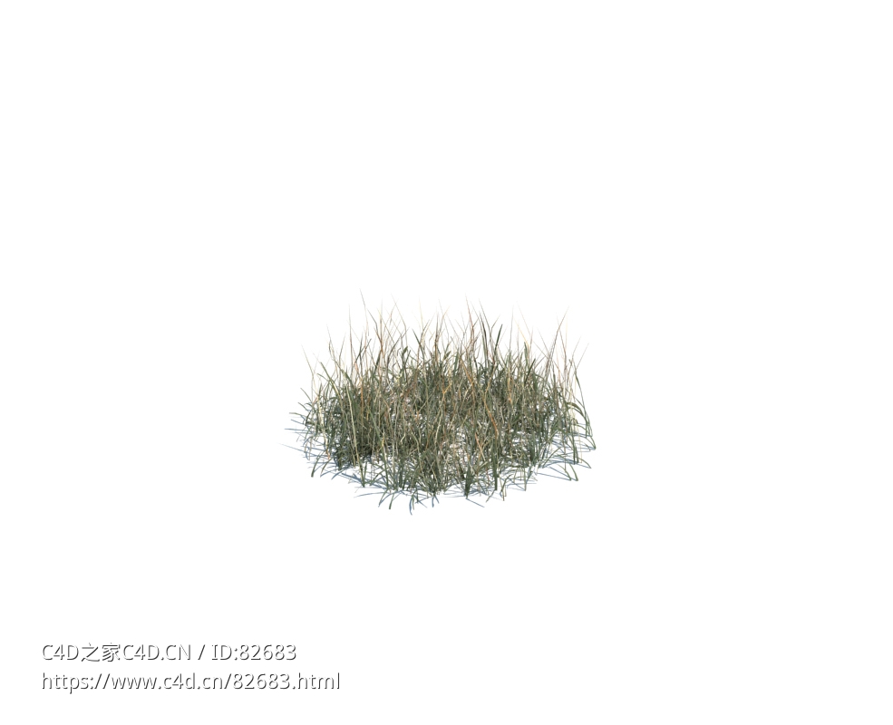 秋天野草simple grass medium v2 - C4D之家 - 137.jpg