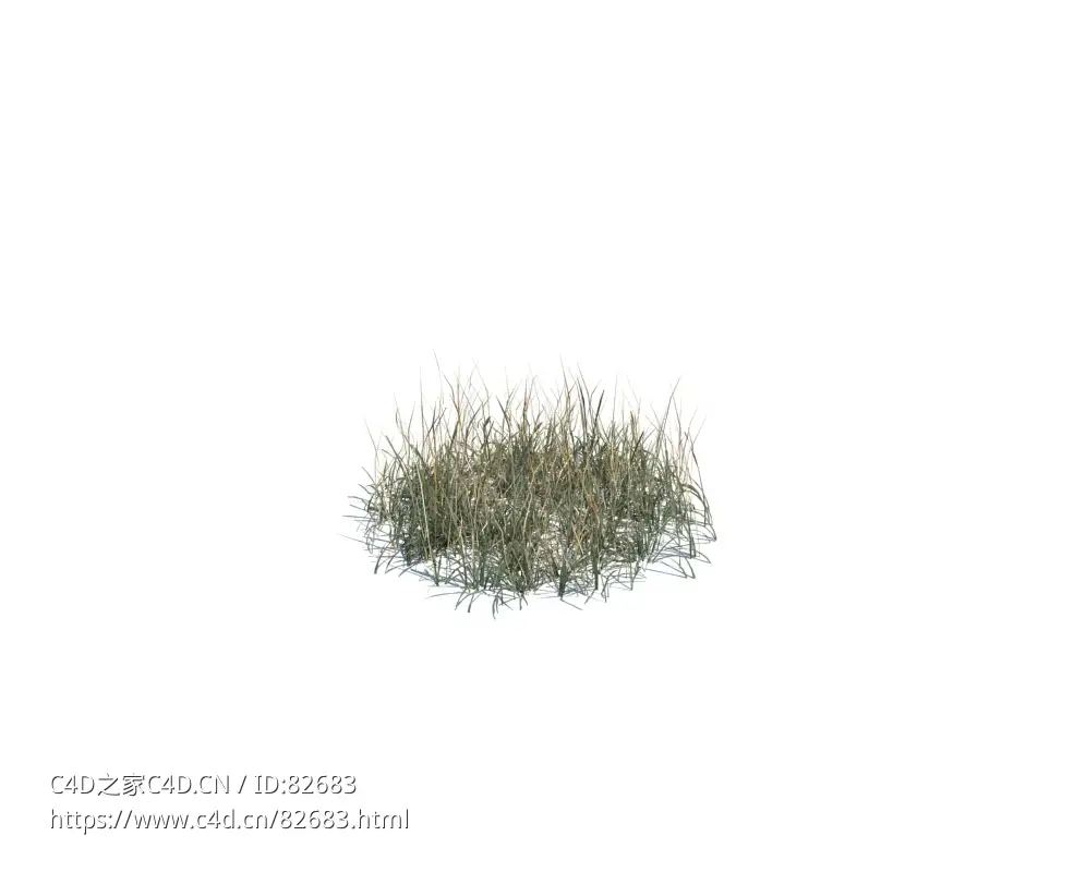 秋天野草simple grass medium v2 - C4D之家 - 137.jpg