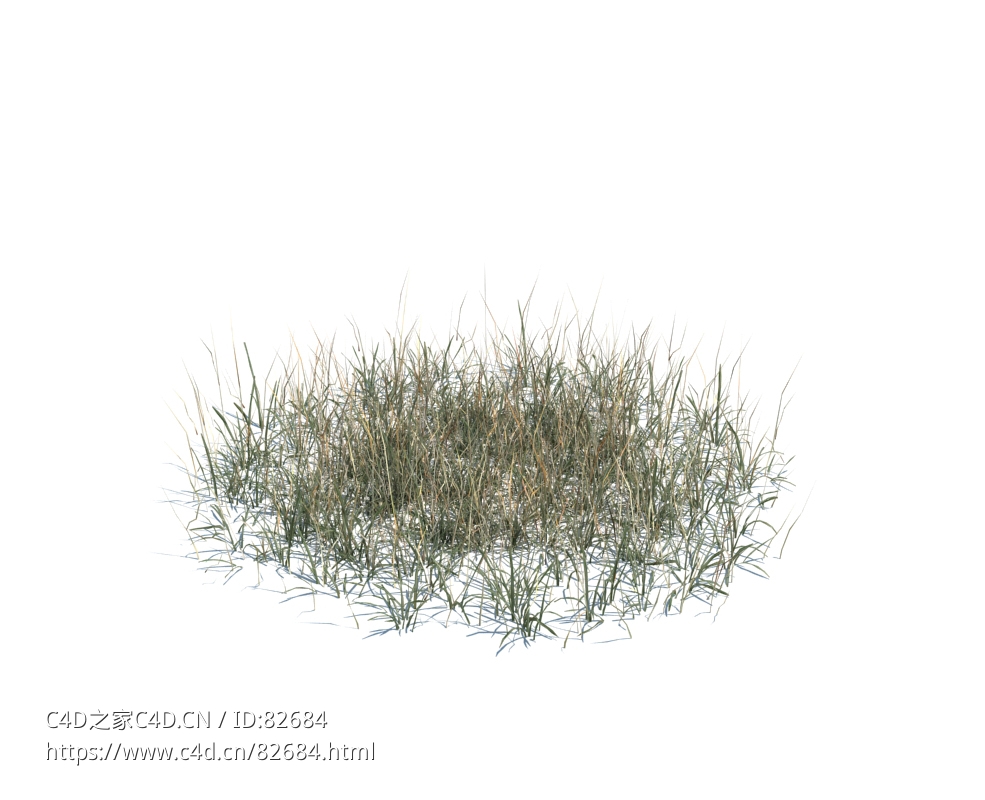 杂草模型simple grass large v3 - C4D之家 - 138.jpg