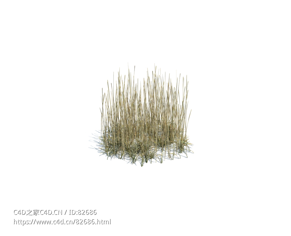 秋天干茅草simple grass medium v2 - C4D之家 - 140.jpg