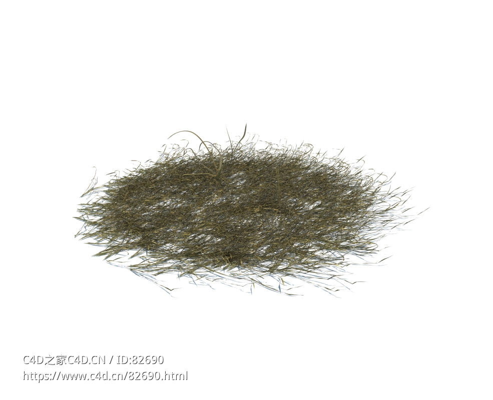 杂草模型下载simple grass v1 - C4D之家 - 124.jpg