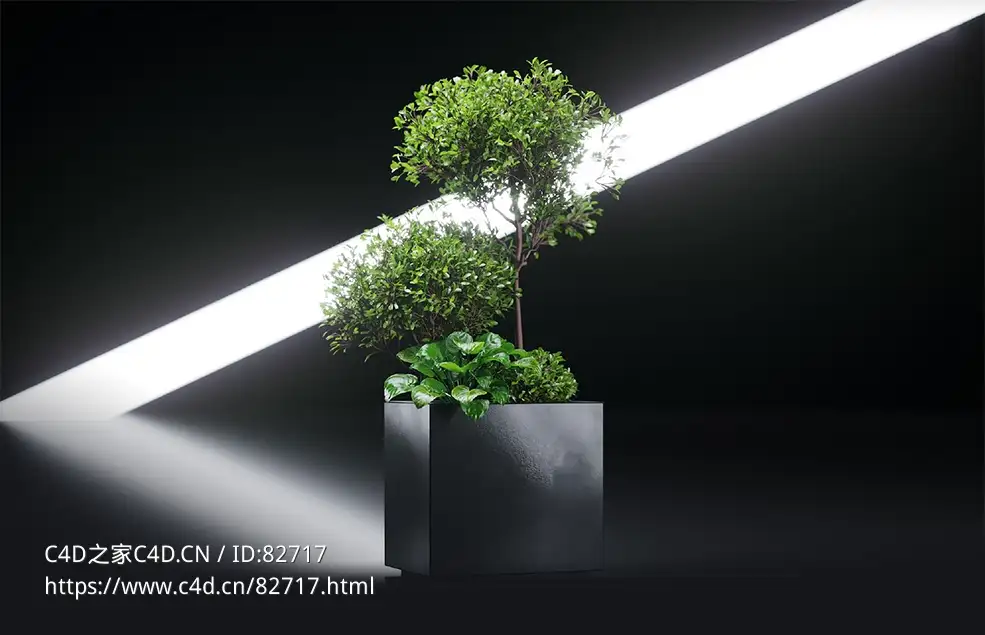 商超装饰：盆景树