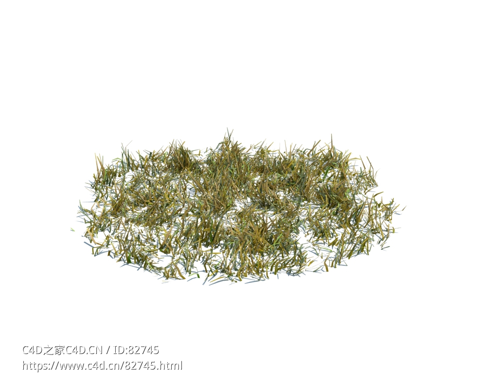 大野草植物杂草模型下载simple grass large v3 - C4D之家 - 111.jpg