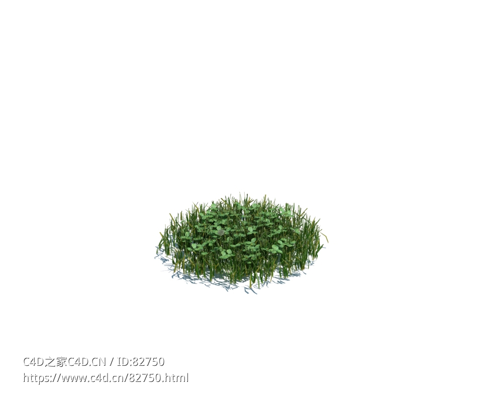 野草植物杂草模型下载simple grass medium v2 - C4D之家 - 116.jpg