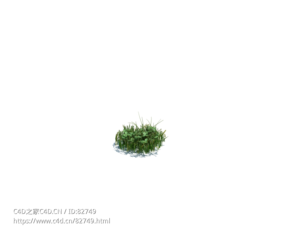 小野草植物杂草模型下载simple grass small v1 - C4D之家 - 115.jpg