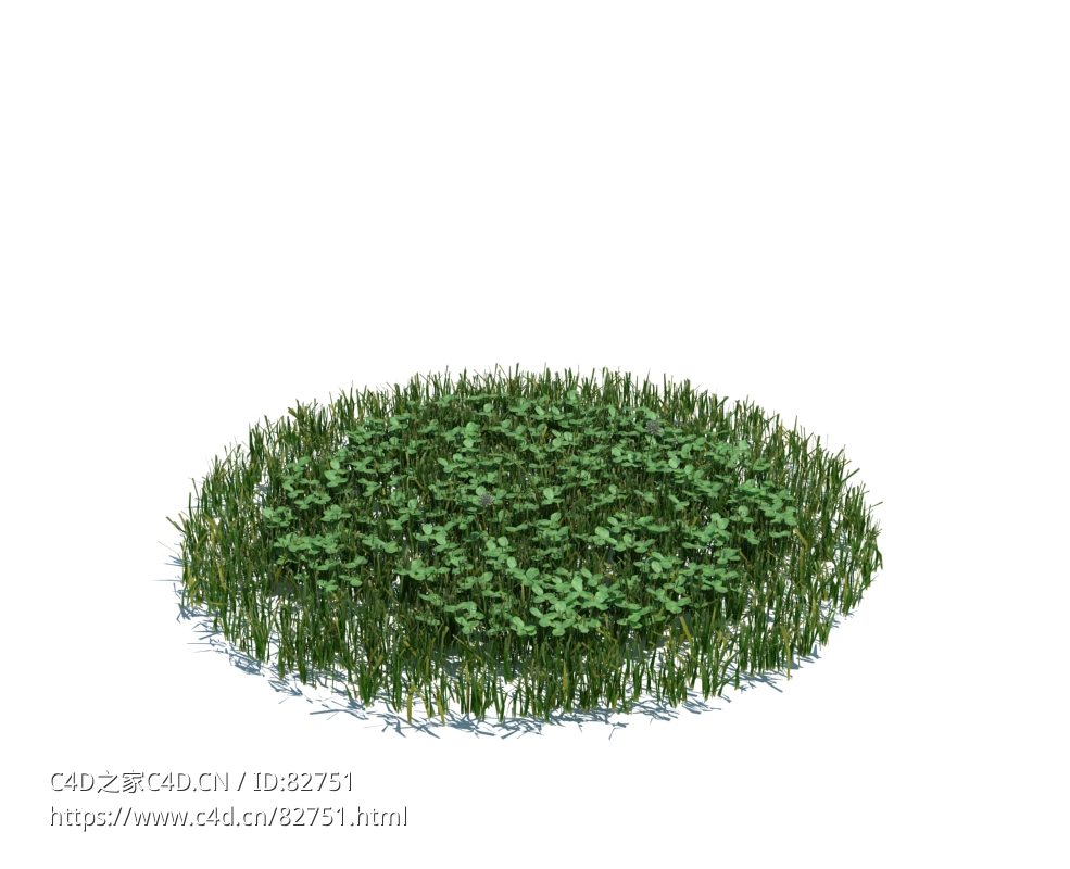 大野草植物杂草模型下载simple grass large v3 - C4D之家 - 117.jpg
