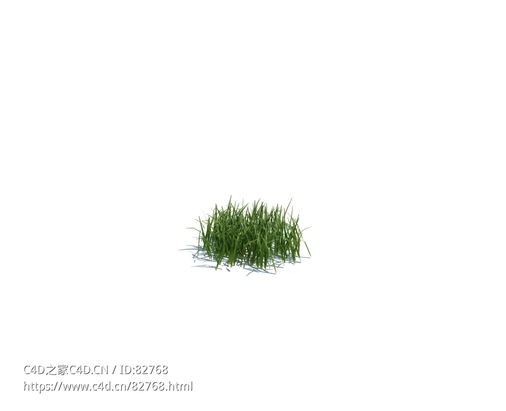 草地小草植物杂草模型下载simple grass small v1 - C4D之家 - 103.jpg