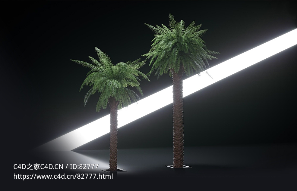 商超装饰：棕榈树