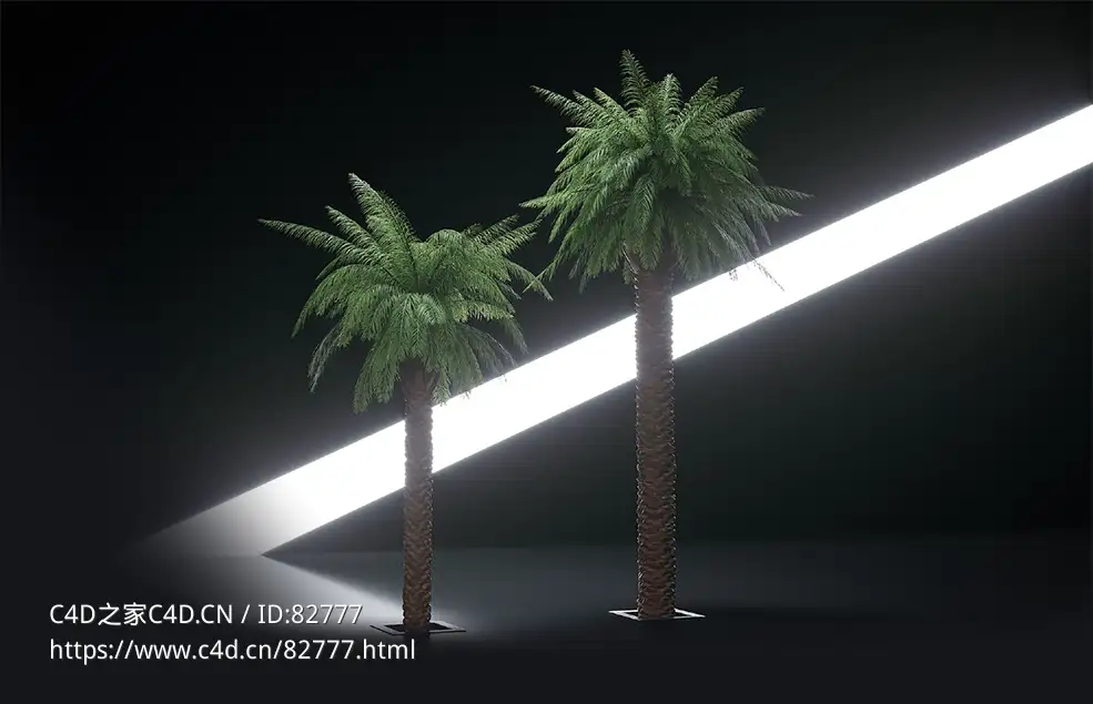 商超装饰：棕榈树