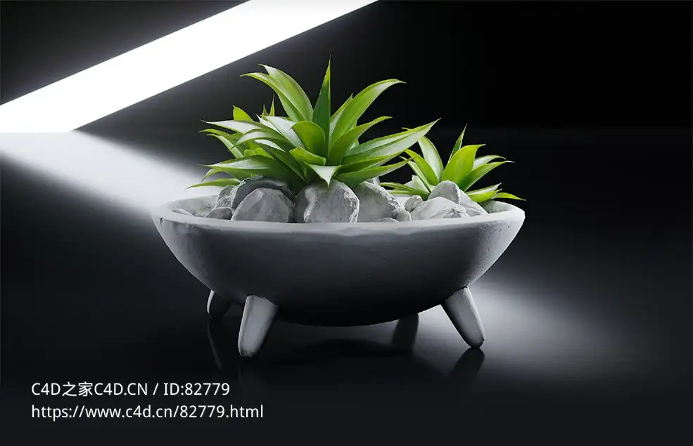 商超装饰：装饰芦荟绿植