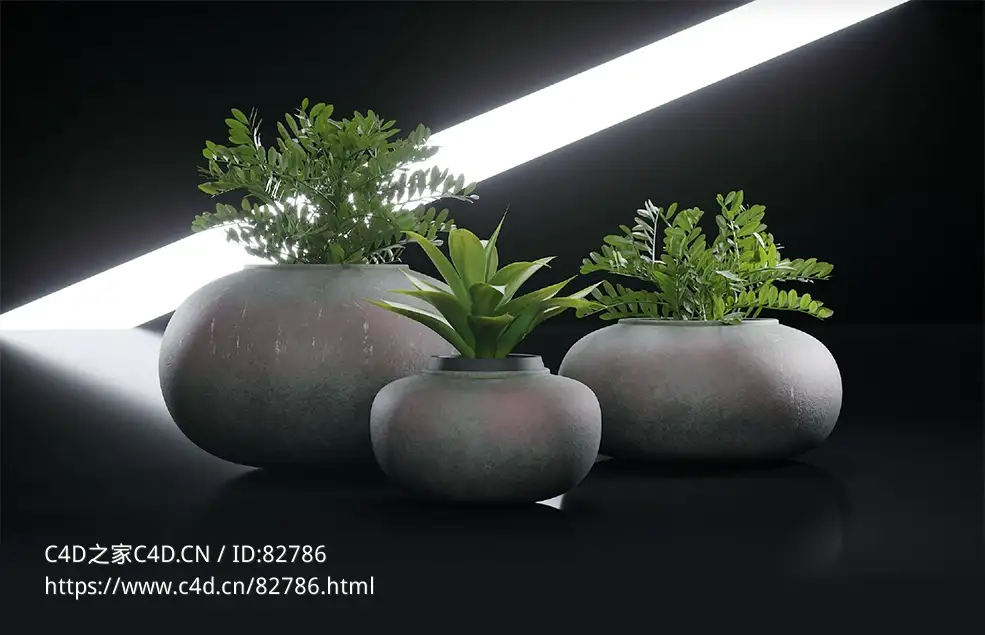 商超装饰：绿色植物