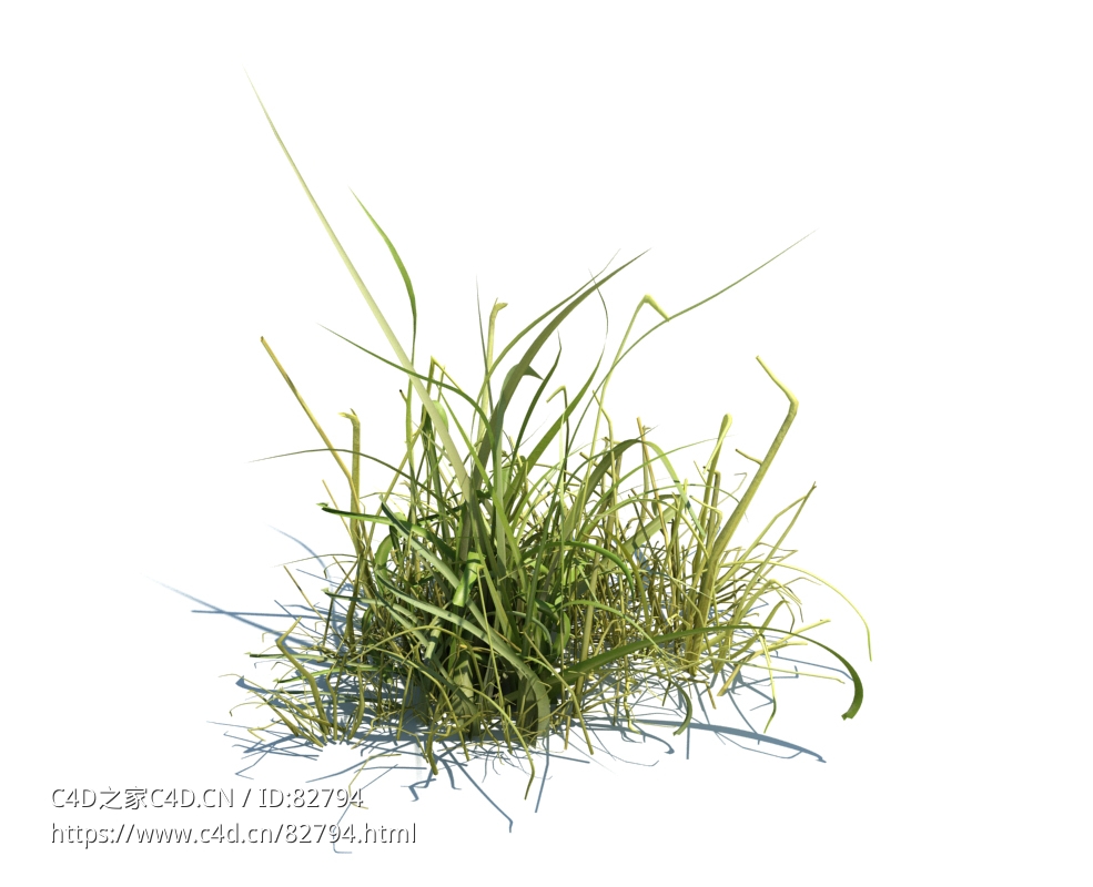 草坪小草植物杂草模型下载simple grass v1 - C4D之家 - 37.jpg