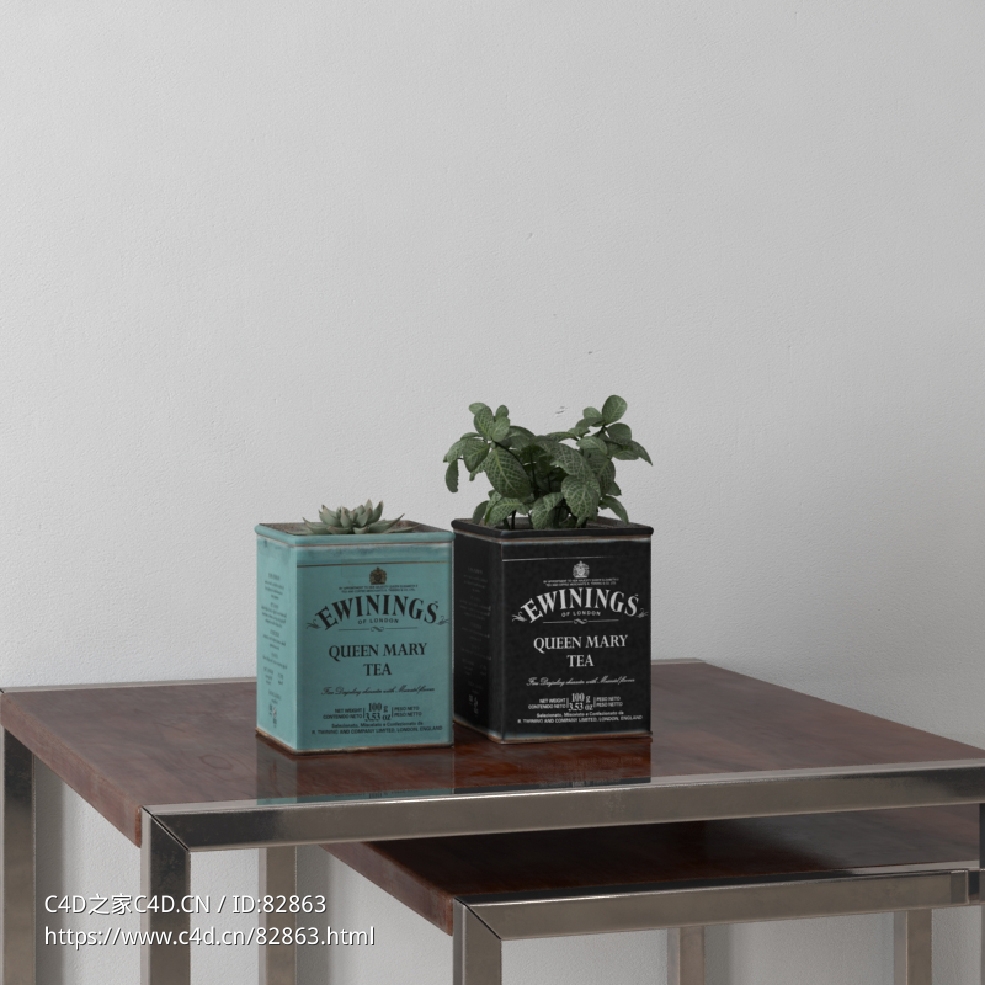 桌台装饰品：铁盒里的植物薄荷