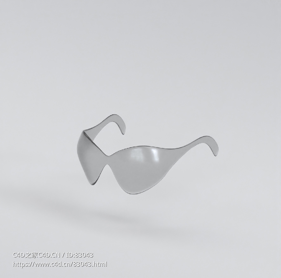 服饰模型：太阳镜