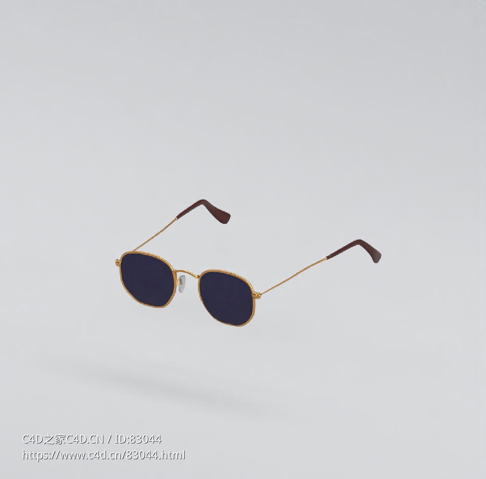 服饰模型：太阳镜