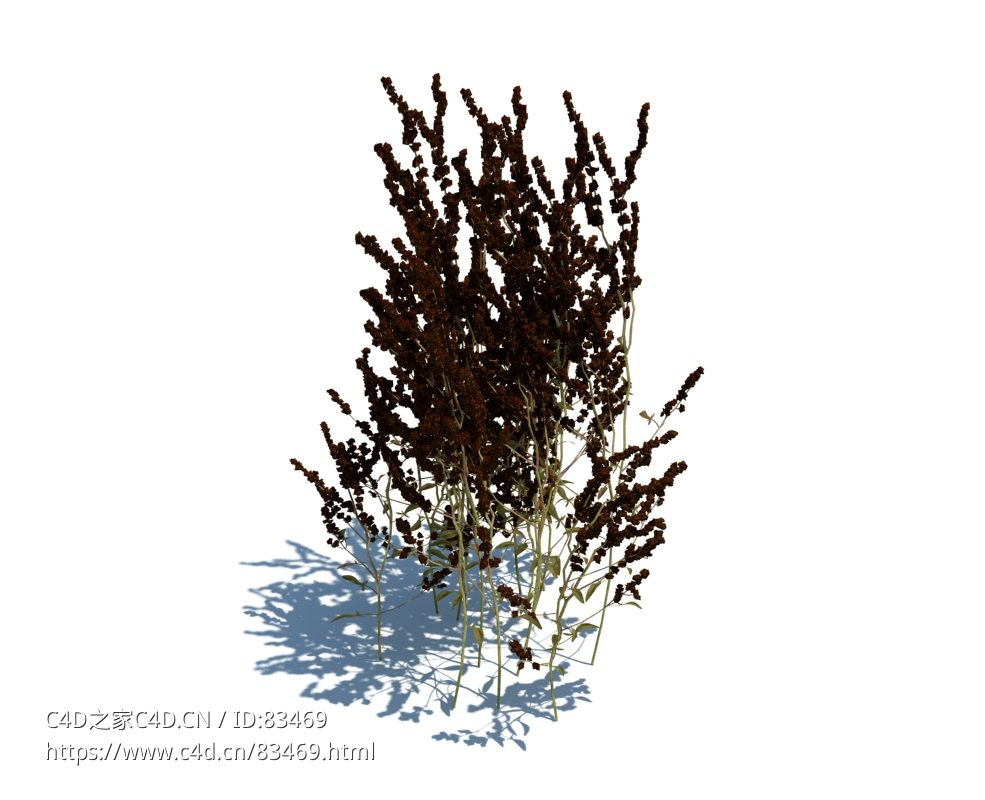 绿地草坪小草植物杂草模型下载simple grass v3