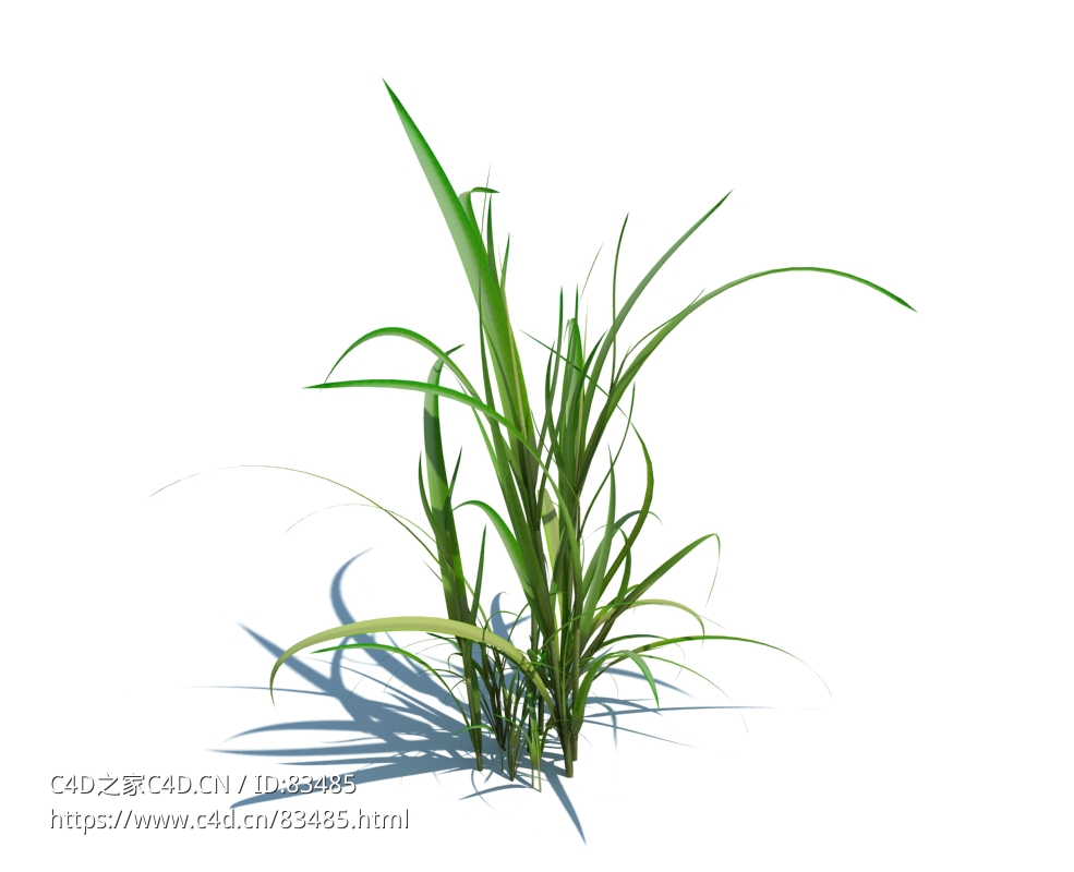 草地杂草植物杂草模型下载simple grass v1