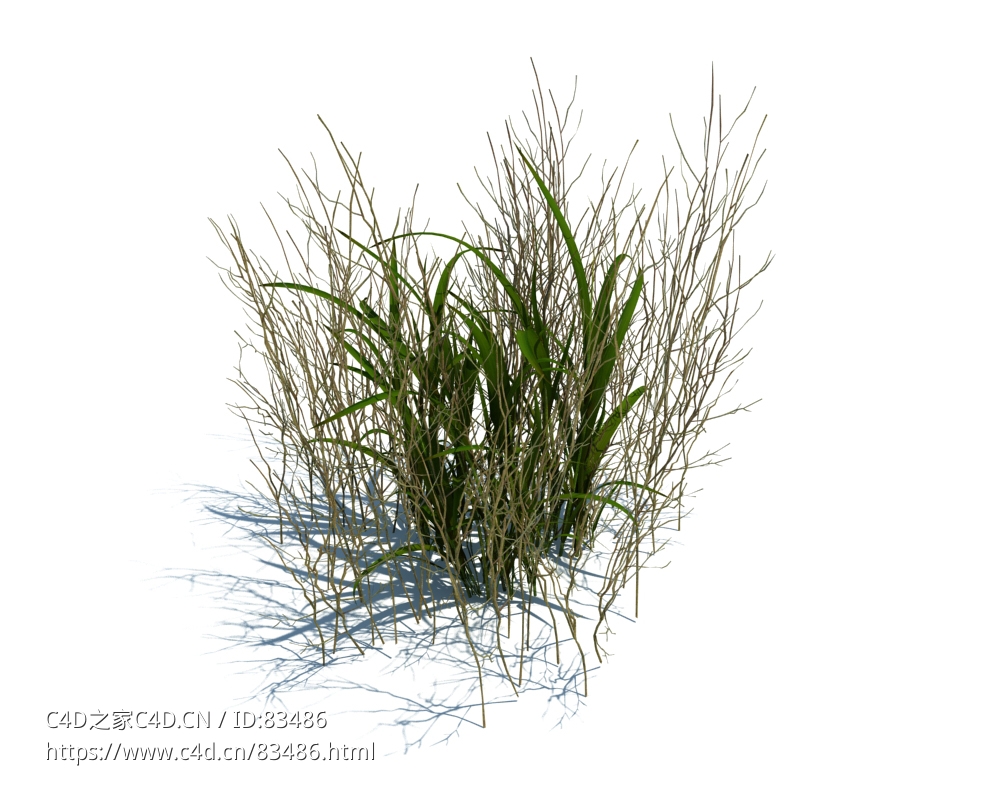 草地杂草植物杂草模型下载simple grass v2