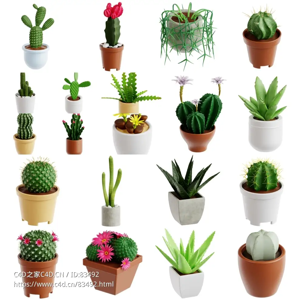 20盆绿植仙人掌仙人球芦荟植物模型