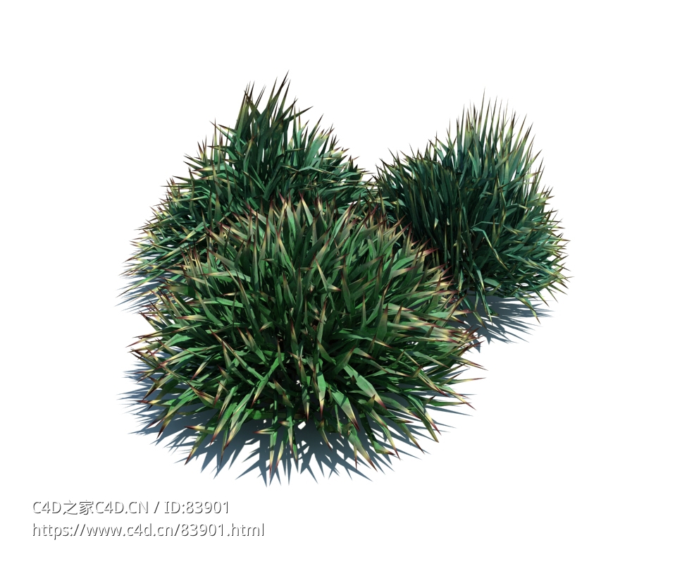 装饰草植物杂草模型下载Decorative grass v1