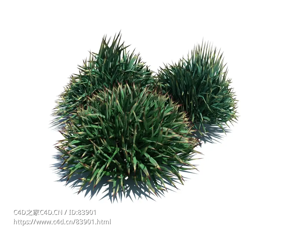 装饰草植物杂草模型下载Decorative grass v1 - C4D之家 - 85.jpg