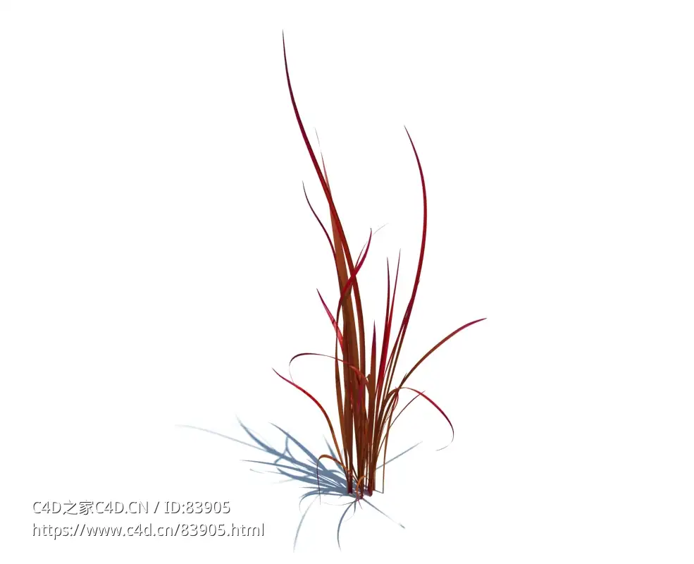 日本血草植物杂草模型下载imperata cylindrica red baron v2
