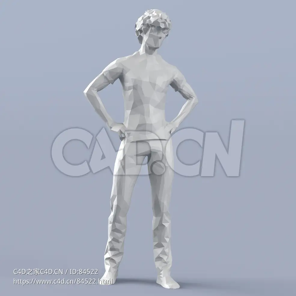 低面多边形卡通人物双手叉腰站立的男孩模型 - C4D之家 - 217.jpg