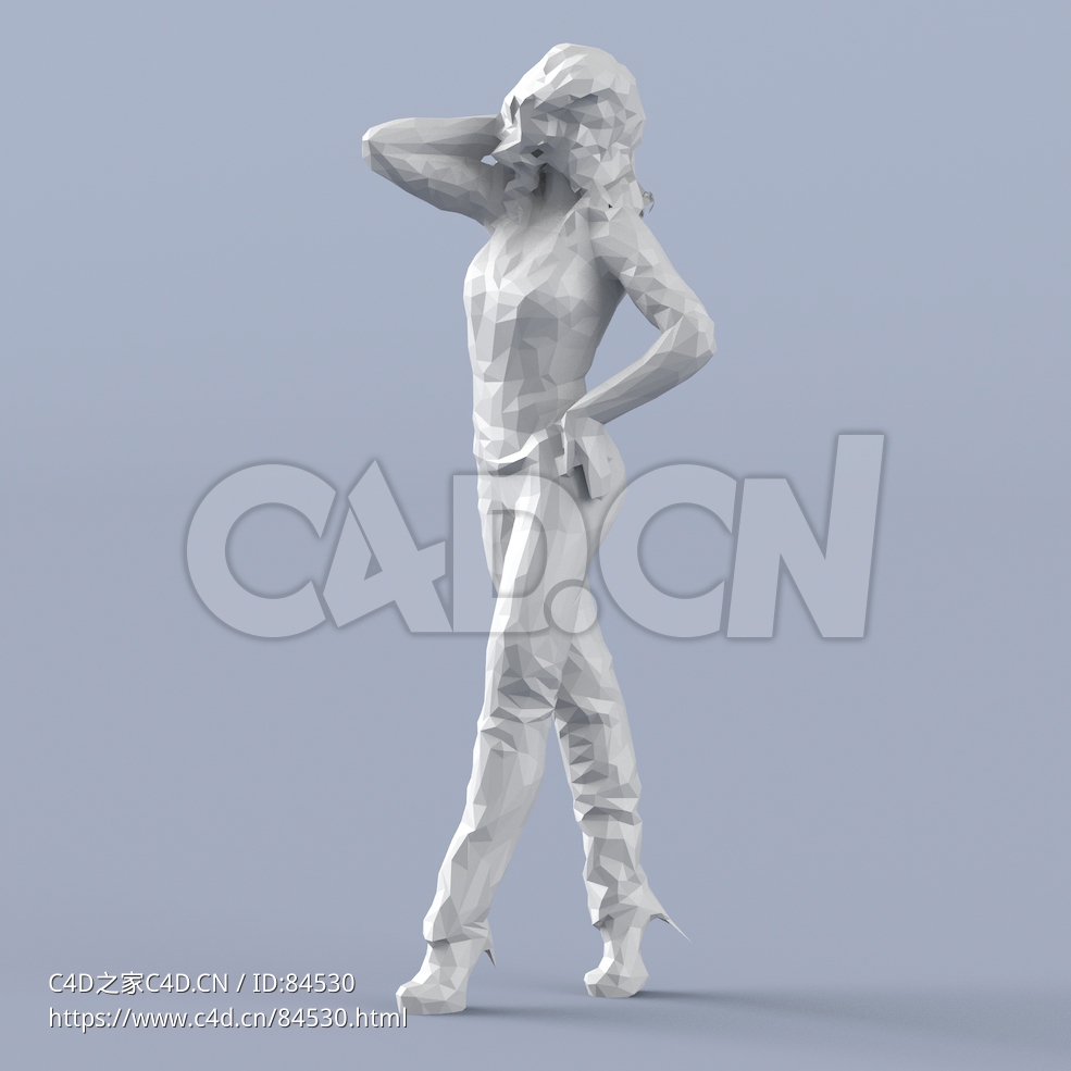 低面多边形卡通人物抚摸头发叉腰站立的女人模型 - C4D之家 - 225.jpg