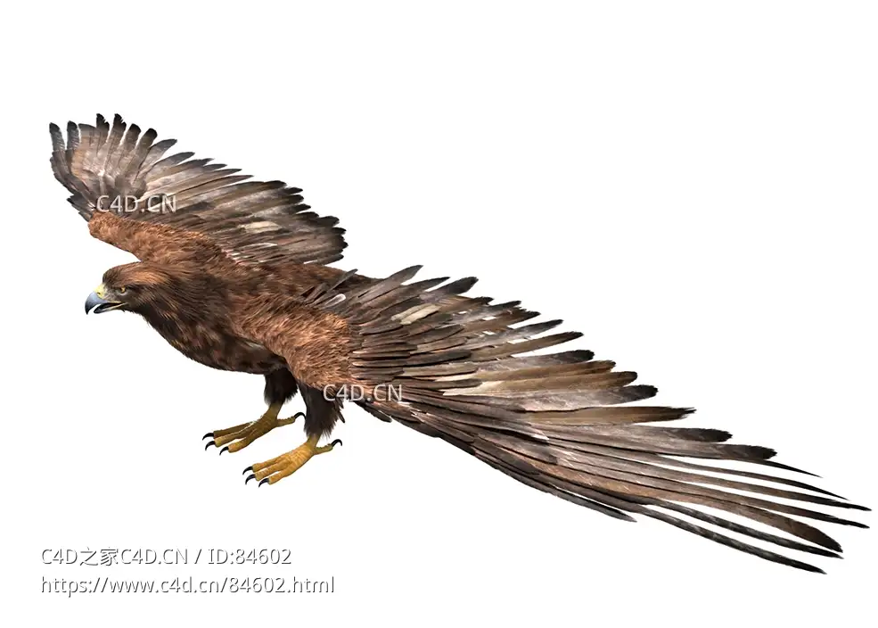 老鹰模型DisneyTD - Golden Eagle Fur Rigged