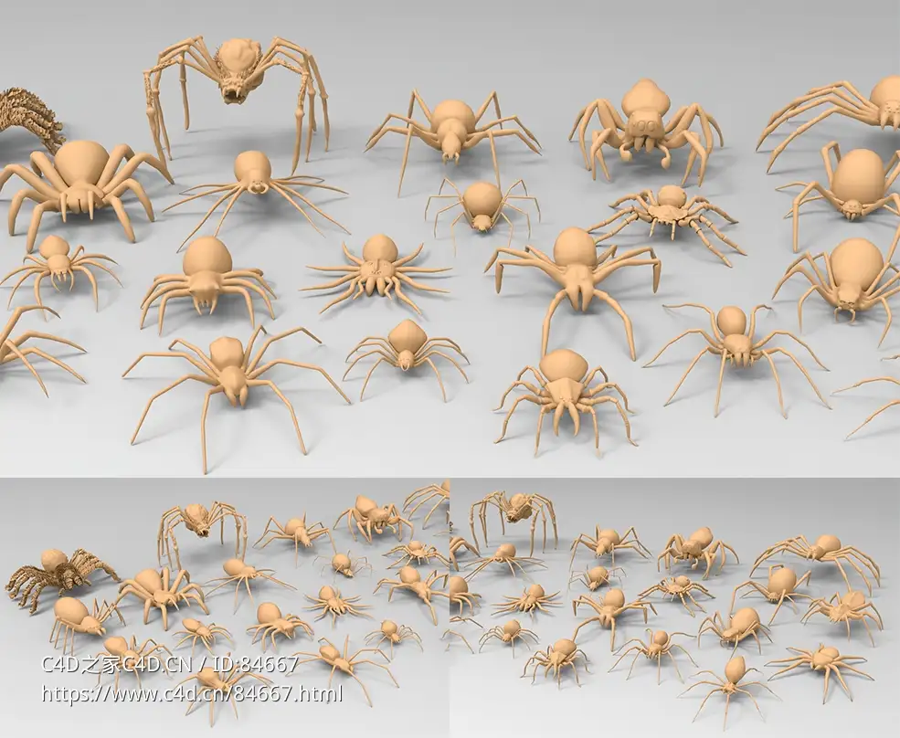 25只蜘蛛昆虫模型（白模）25 Basemesh spider collection