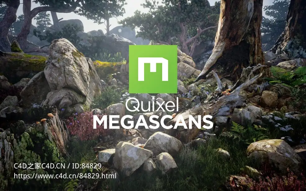 3000G+大型写实三维扫描模型素材合集下载Quixel Megascans - C4D之家 - Quixel-Megascans-Latest-Version-Download-GetintoPC.com_-1024x640.jpg