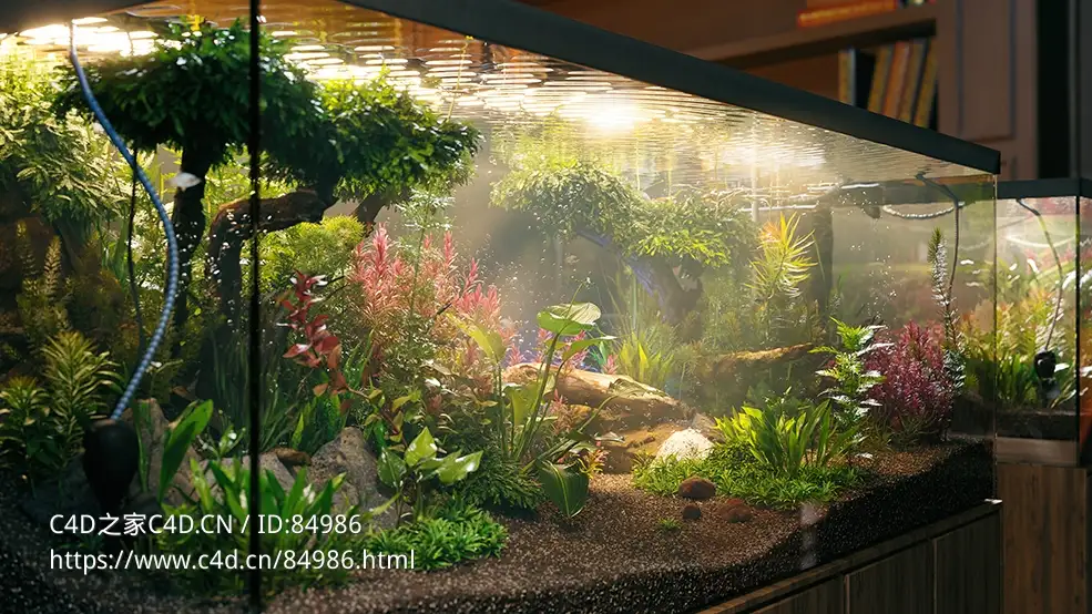 水生植物鱼缸水族馆植物c4d模型Globe Plants – Bundle 48 - C4D之家 - globe-plants-3d-plant-model-bundle-48-aquatic-plants-1.jpg
