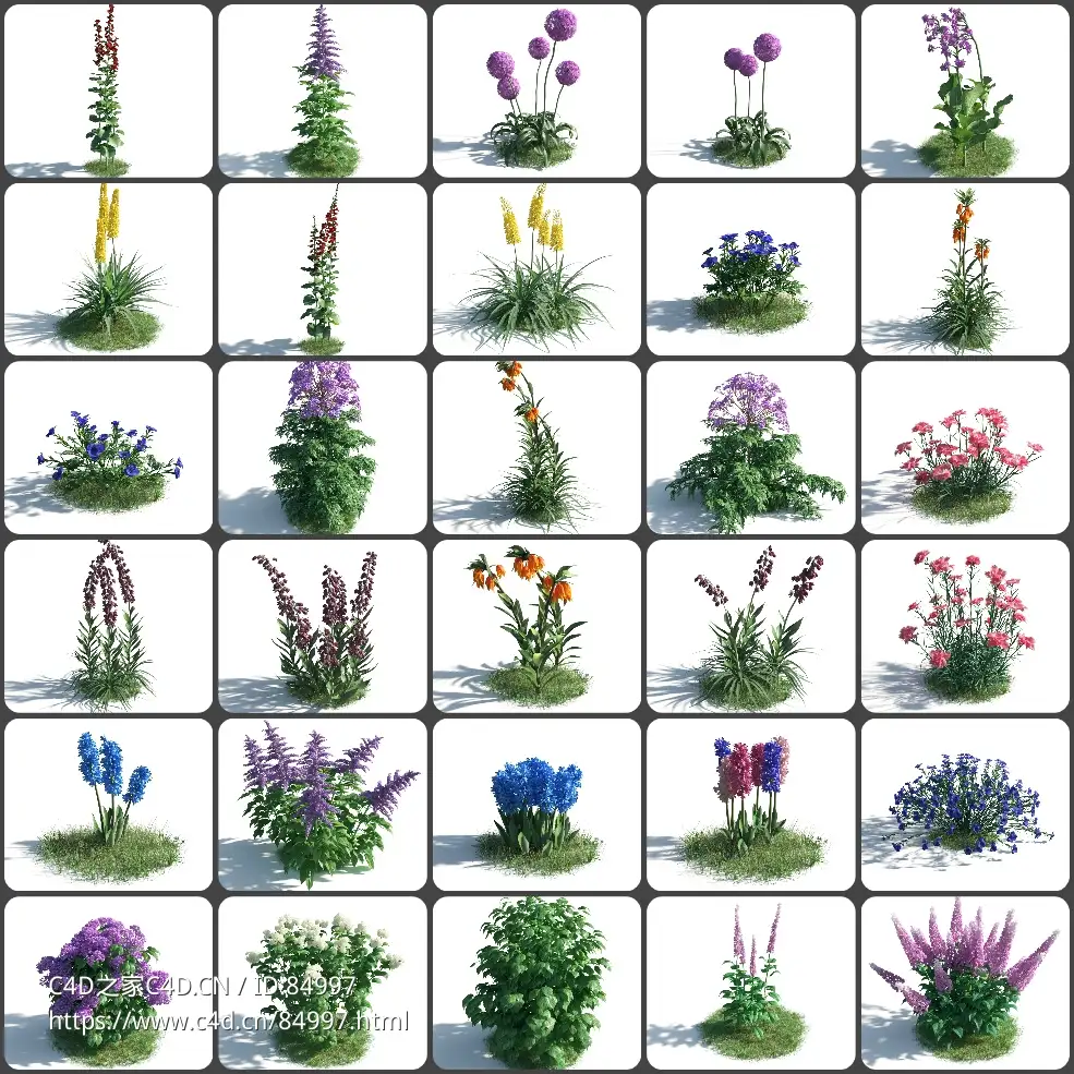 54款精细逼真的C4D花卉植物模型Evermotion Archmodels Vol 183高品质花园植物3D模型集合 - C4D之家 - photo-collage.jpg