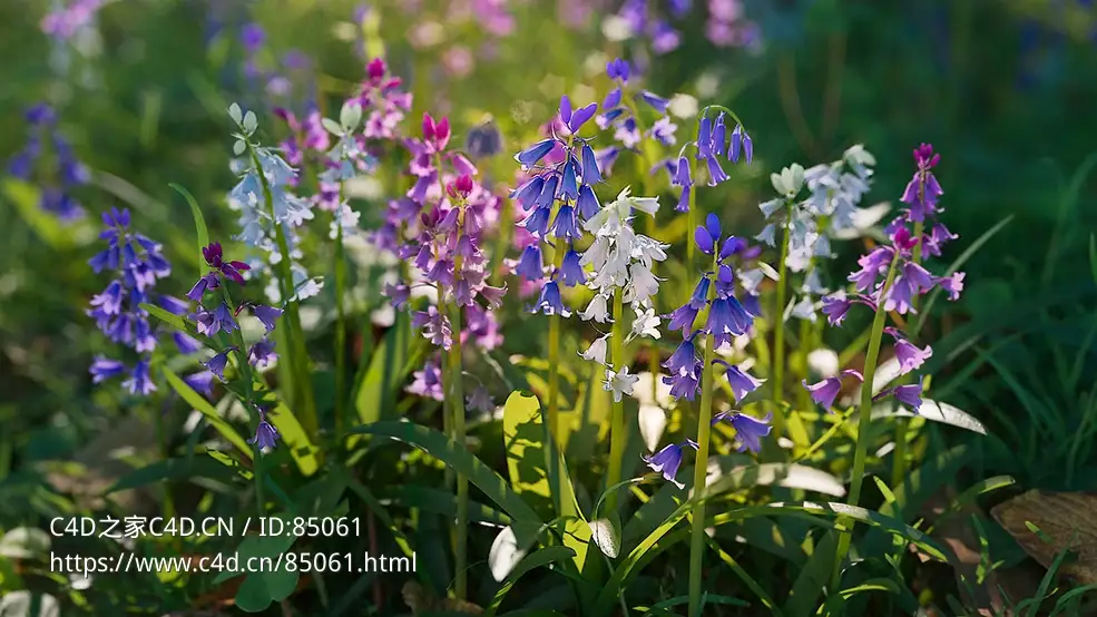 蓝钟花风铃草蓝铃花植物3D模型 CGTrader – Bluebell Pack vol05 Low-poly 3D model