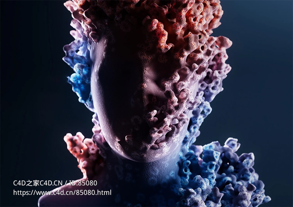 超写实人像珊瑚特效变形教程含工程文件 Cinema4D 2025+Redshift