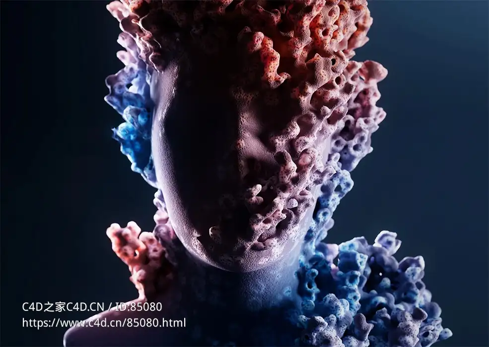 超写实人像珊瑚特效变形教程含工程文件 Cinema4D 2025+Redshift