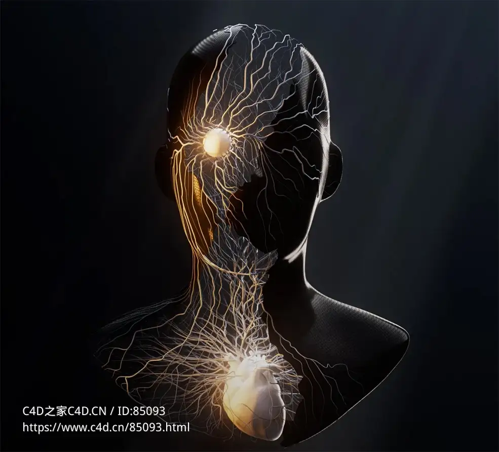 Cinema 4D生物医学人体神经网络发光路径生成器工程文件含渲染器预设3D模型素材Shortest Path Generator