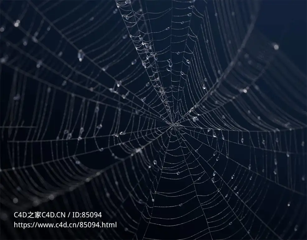 Cinema 4D蜘蛛网Scene Nodes节点生成器含水珠效果Redshift渲染预设工程文件3D模型Spiderweb Generator with Cinema 4D Scene Nodes
