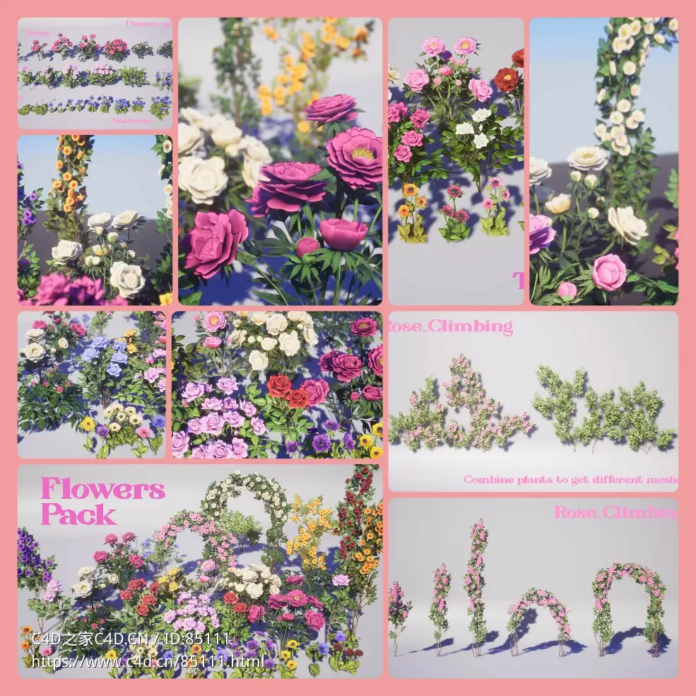 42个写实花园花卉植物3D模型合集玫瑰牡丹蔷薇银莲花支持UE5含完整材质贴图Renderhub - Flowers Pack Low-poly 3D model - C4D之家 - photo-collage.jpg